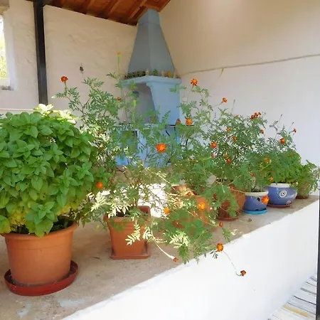 Apartman με ησυχία και θέα *