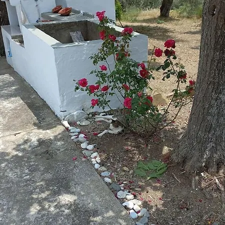 Apartman με ησυχία και θέα