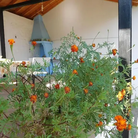 Апартаменты με ησυχία και θέα Скопелос